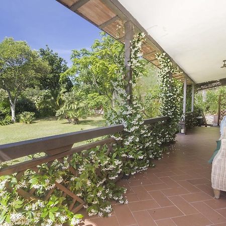 Villa Monserrato - Goelba Porto Azzurro Exteriér fotografie