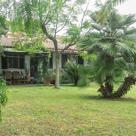 Villa Monserrato - Goelba Porto Azzurro Exteriér fotografie