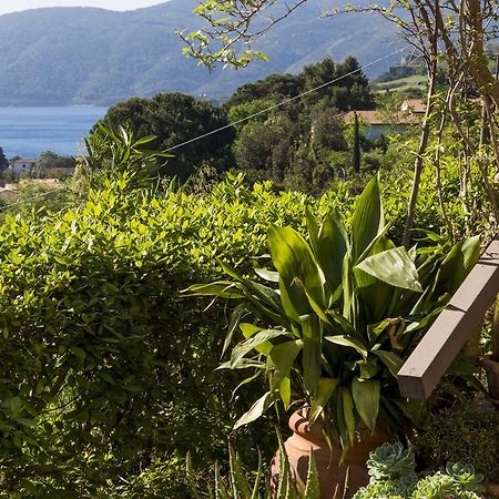 Villa Monserrato - Goelba Porto Azzurro Exteriér fotografie